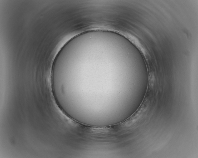 X0000112050863200908181135