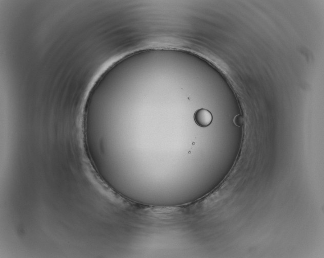 X0000112050864200908181135