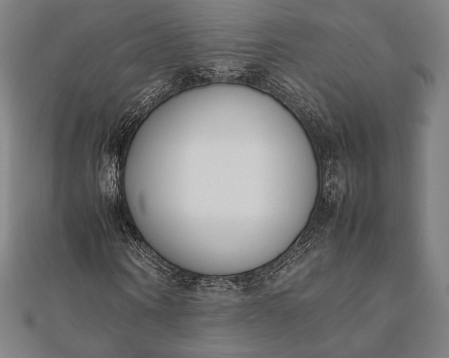 X0000112050866200908181134