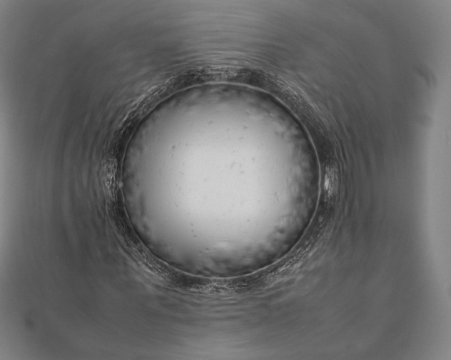 X0000112050867200908181134