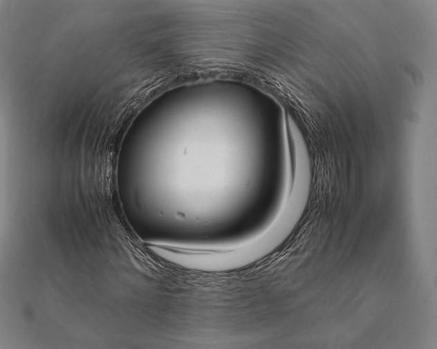 X0000112050868200908181134