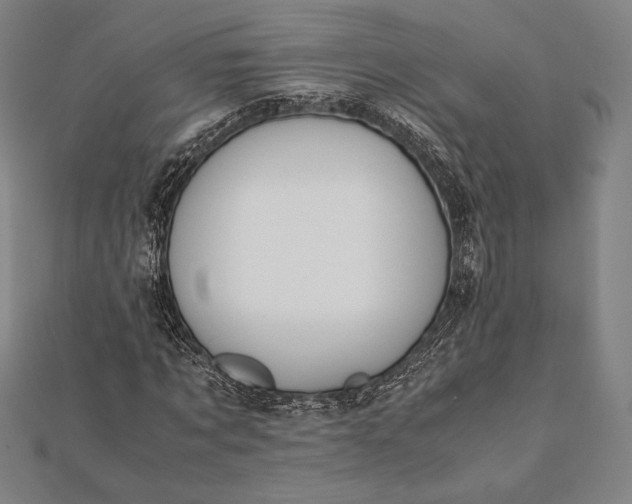 X0000112050869200908181134