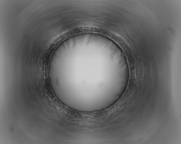 X0000112050870200908181134