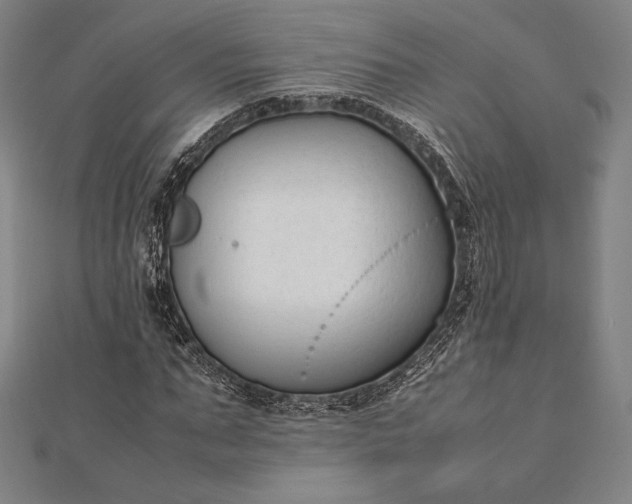 X0000112050871200908181134