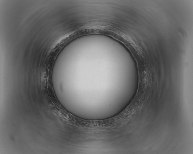 X0000112050872200908181134