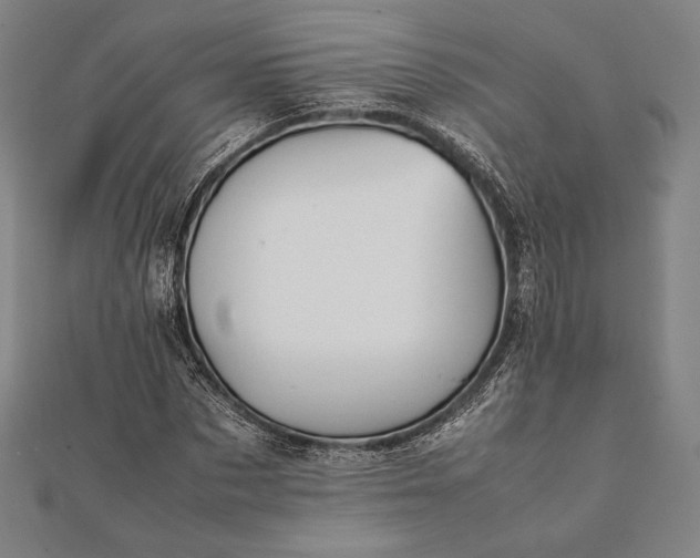 X0000112050873200908181134