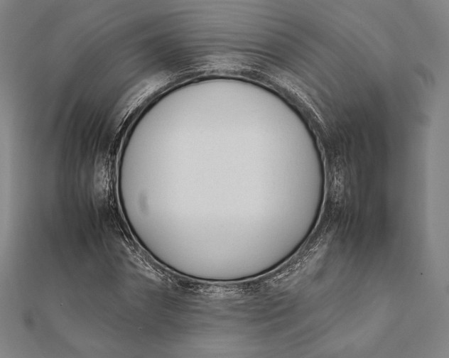 X0000112050874200908181134