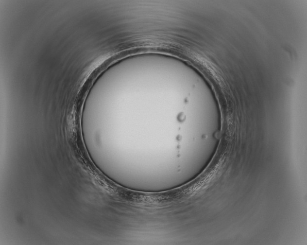 X0000112050875200908181134