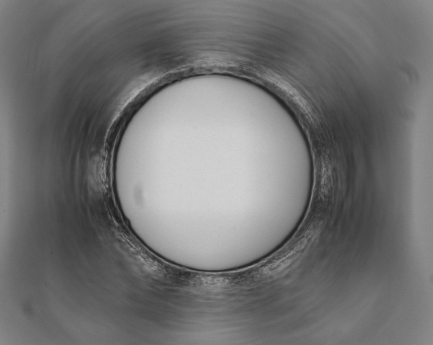 X0000112050878200908181134