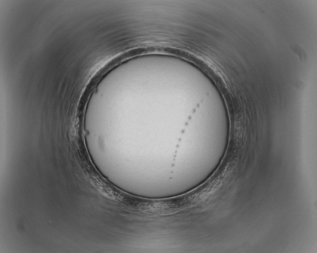 X0000112050879200908181134