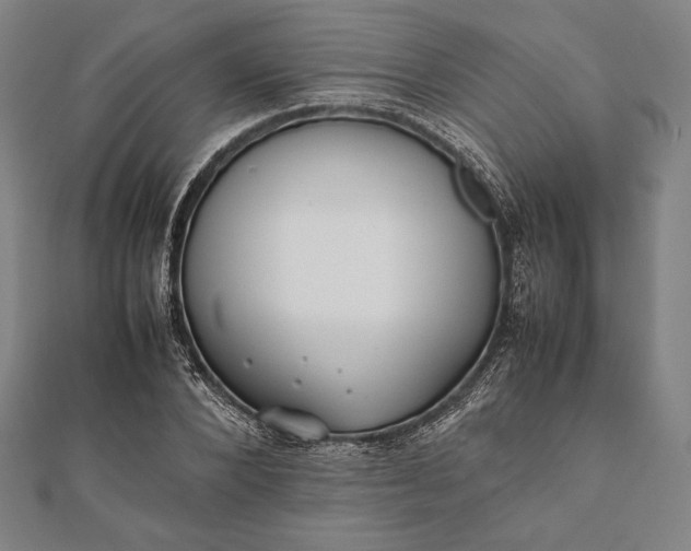 X0000112050880200908181134