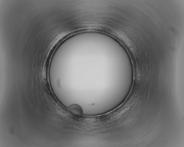 X0000112050883200908181134