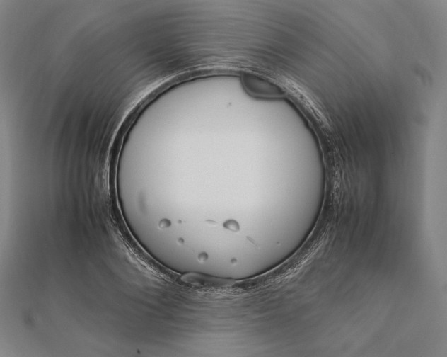 X0000112050884200908181134