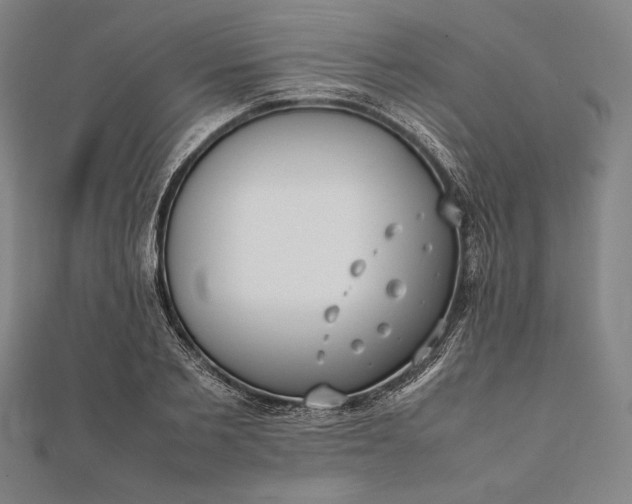 X0000112050885200908181134