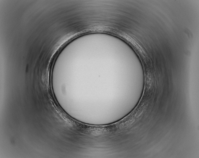 X0000112050886200908181134