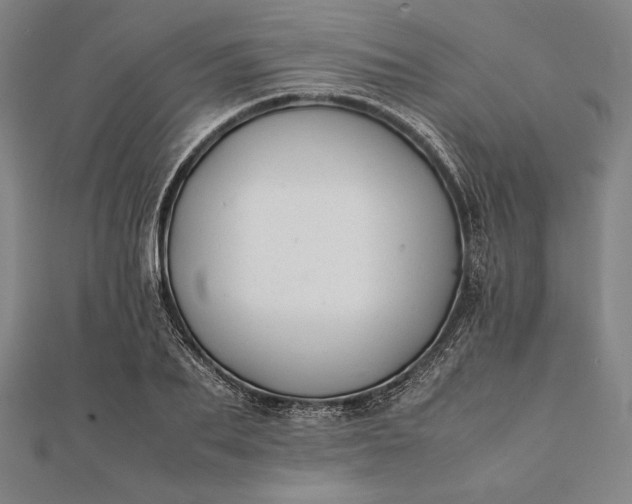 X0000112050887200908181134