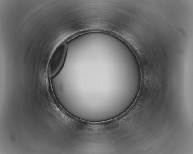 X0000112050888200908181134