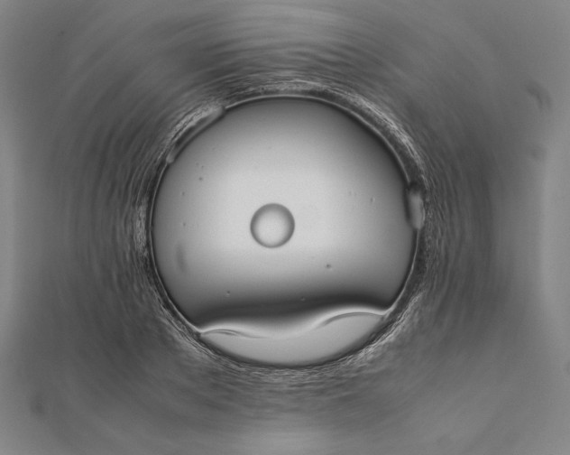 X0000112050889200908181134