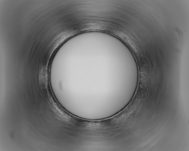 X0000112050890200908181134