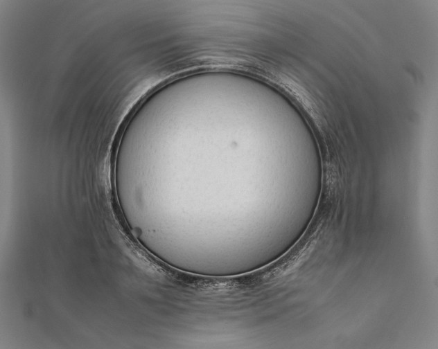 X0000112050891200908181134