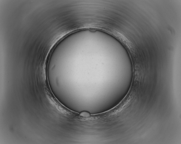 X0000112050892200908181134