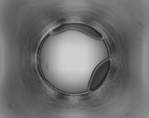 X0000112050893200908181134