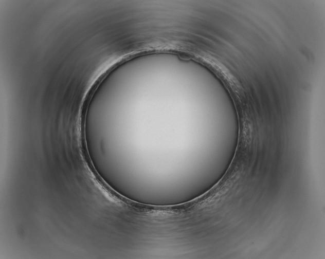 X0000112050894200908181134