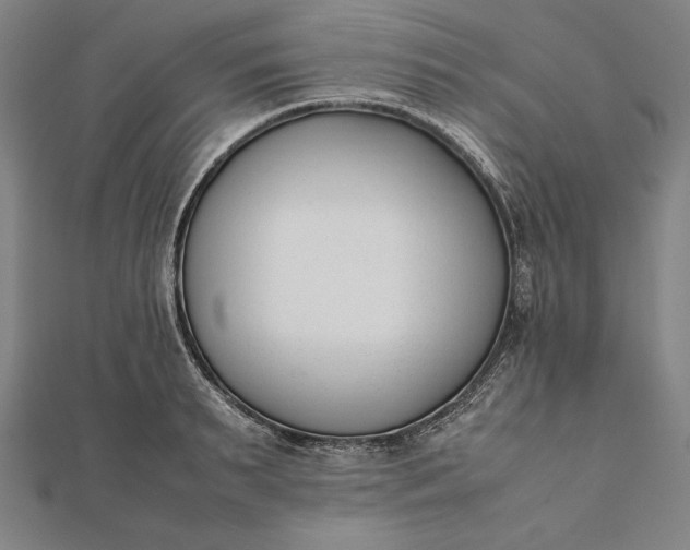 X0000112050895200908181134