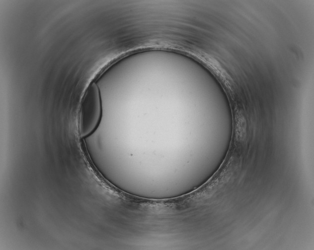 X0000112050896200908181134