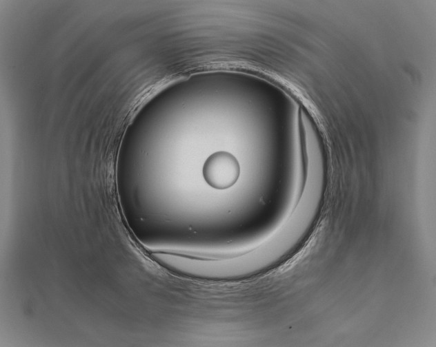 X0000112050897200908181134