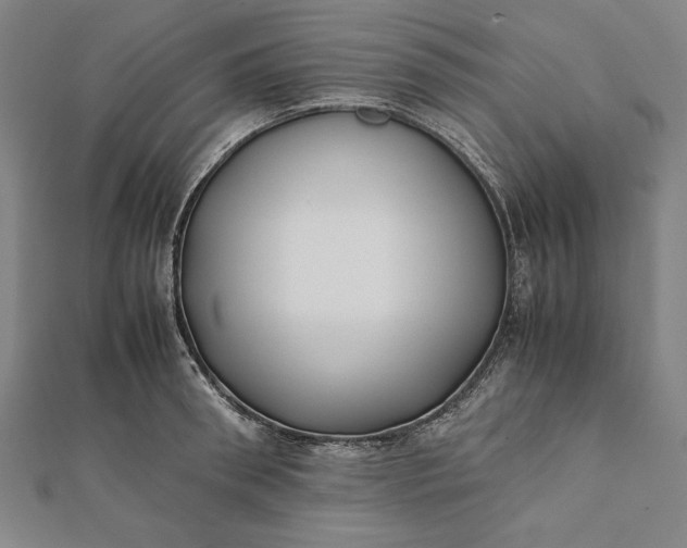 X0000112050898200908181134