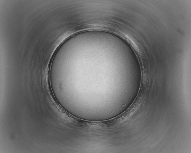 X0000112050899200908181134