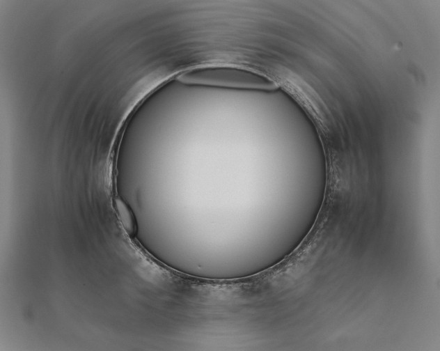 X0000112050900200908181134