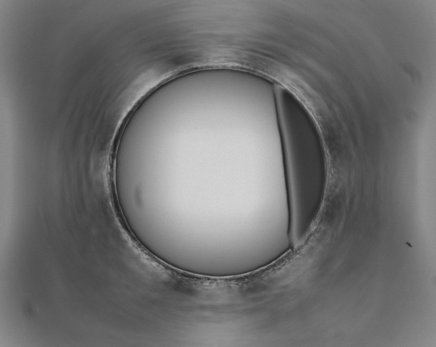 X0000112050901200908181134