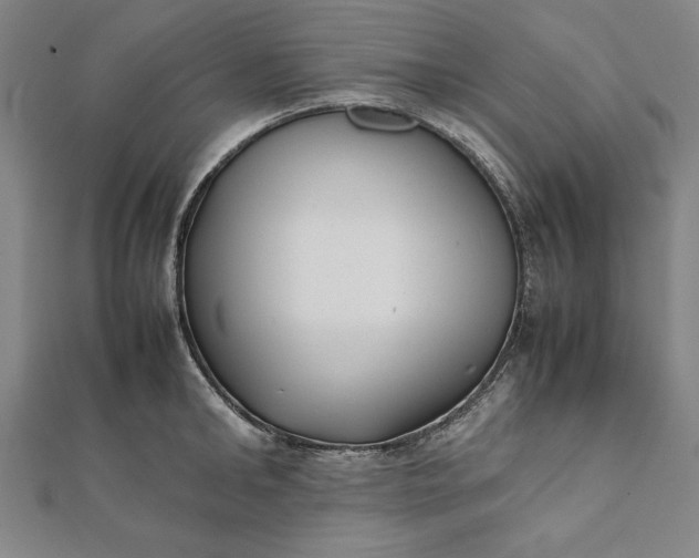 X0000112050902200908181134