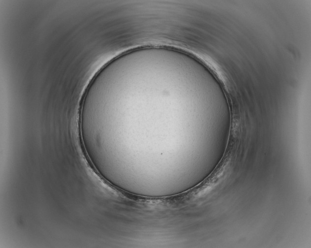 X0000112050903200908181134