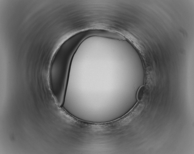 X0000112050904200908181134