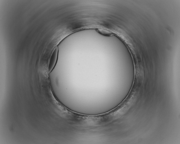 X0000112050905200908181134