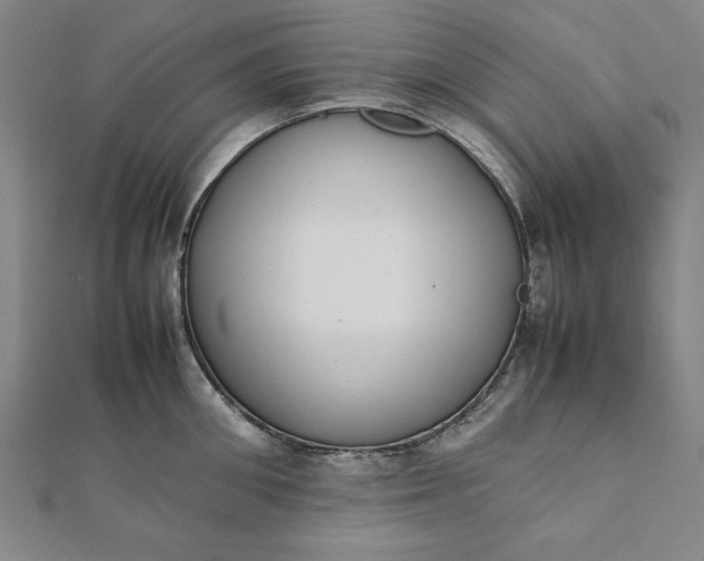 X0000112050906200908181134