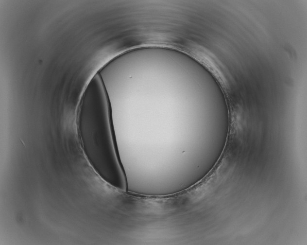 X0000112050908200908181134