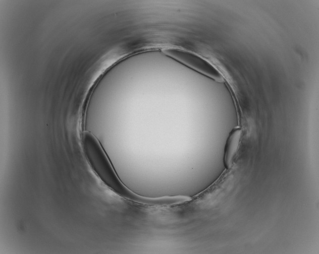 X0000112050909200908181134