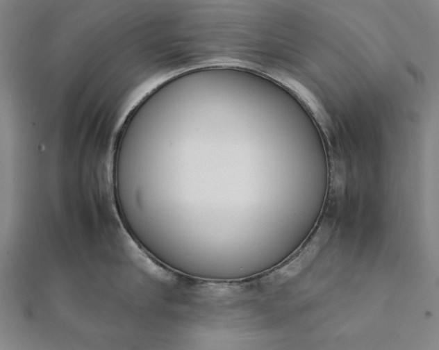 X0000112050910200908181134