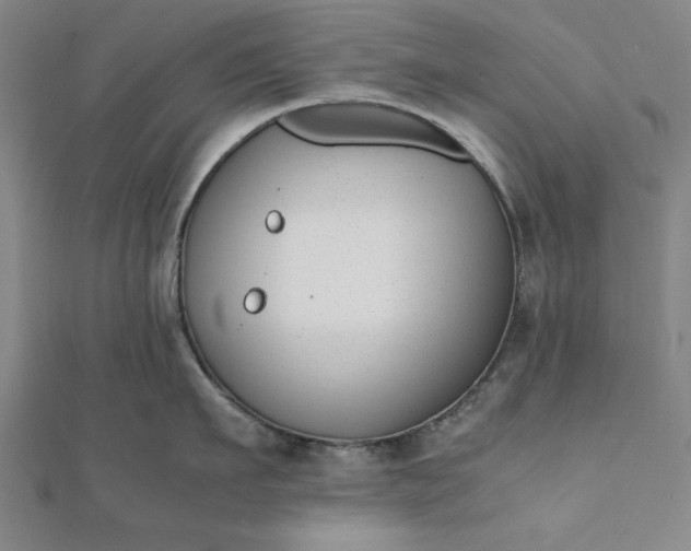 X0000112050911200908181134