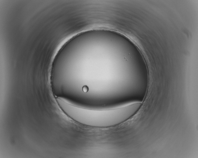 X0000112050912200908181134