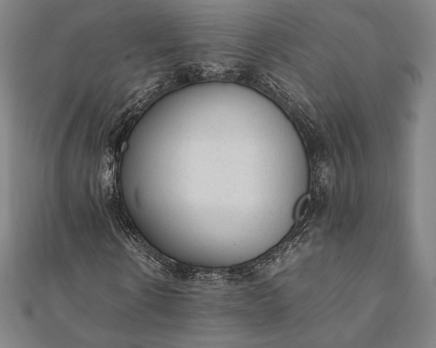 X0000112050914200908181133