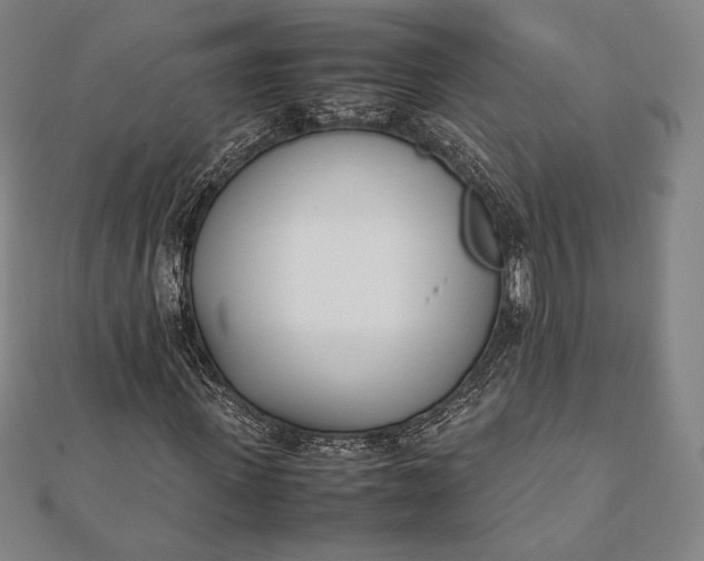 X0000112050915200908181133