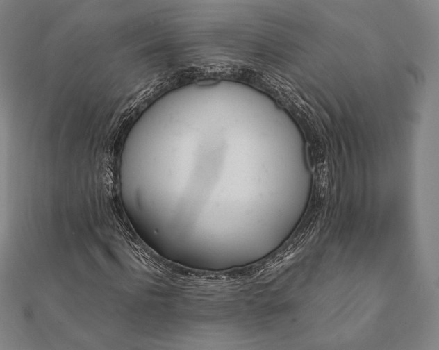 X0000112050916200908181133