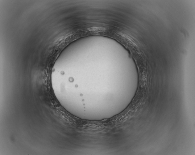 X0000112050917200908181133