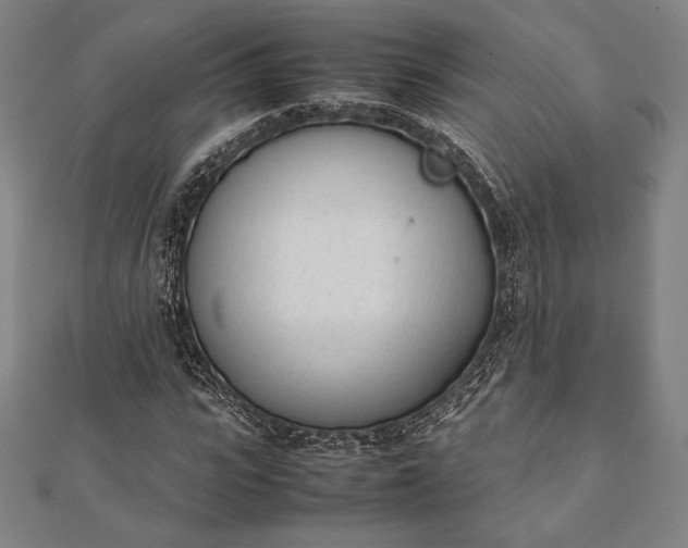 X0000112050919200908181133