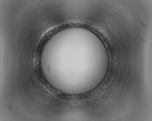 X0000112050920200908181133